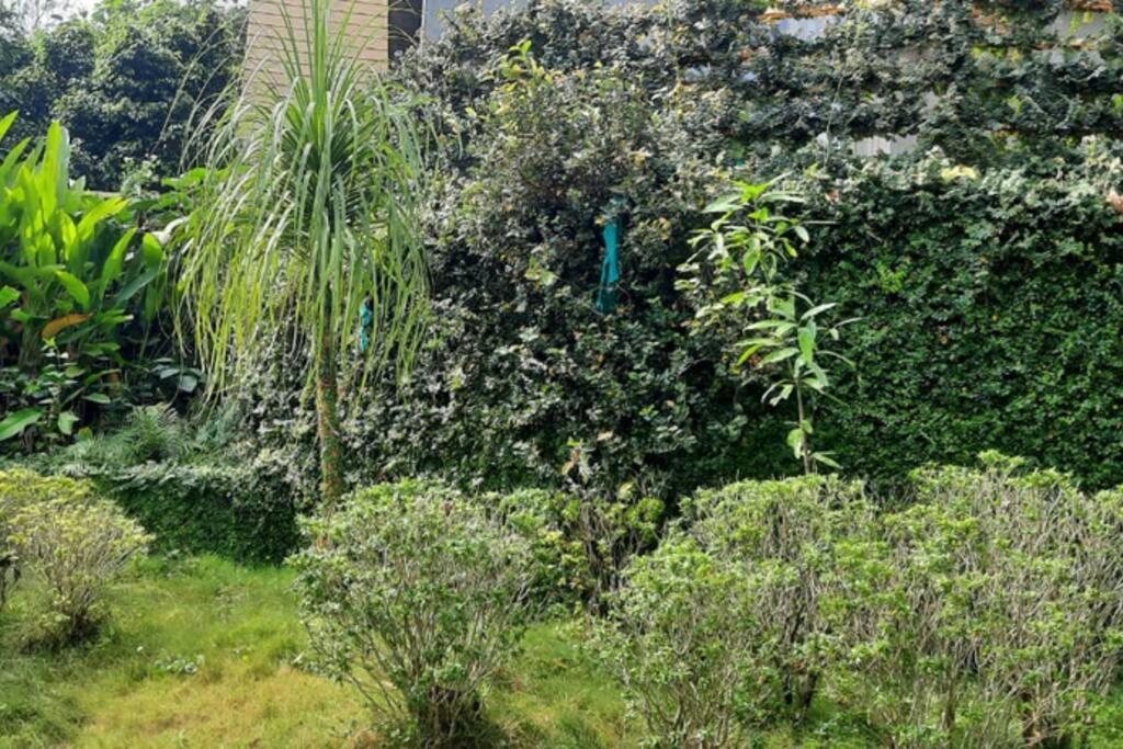 Karjat Villa المظهر الخارجي الصورة