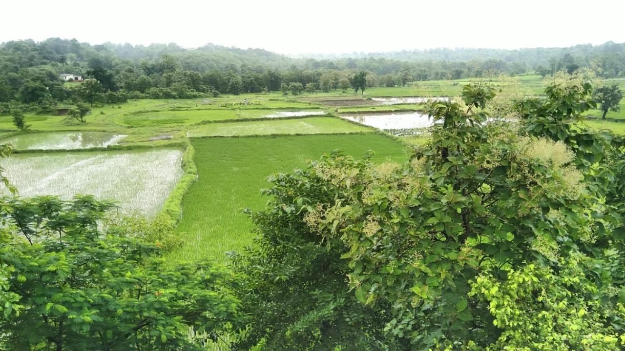 Karjat Villa المظهر الخارجي الصورة